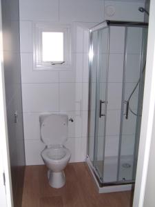 uma casa de banho com um WC e uma cabina de duche em vidro. em Luxe Strandhuisje op het strand van Wijk aan Zee met wifi em Wijk aan Zee