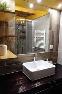 Kúpeľňa v ubytovaní Zakodomki Apartement Pyzdra + 17 fotografií
