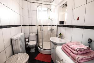 a bathroom with a shower and a sink and a toilet at Apartment Petra 071 in Belgrade +41 photos