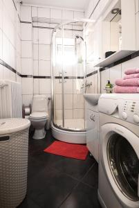 a bathroom with a washing machine and a toilet at Apartment Petra 071 in Belgrade