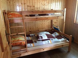 two bunk beds in a room with a wooden wall at Anida Rusinowo in Rusinowo