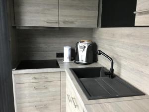 a kitchen with a sink and a toaster on a counter at Studio Gardenroom Guesthouse De Steenberg met wellness & tuinzicht in Geel