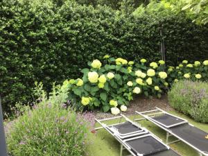 A garden outside Studio Gardenroom Guesthouse De Steenberg met wellness & tuinzicht