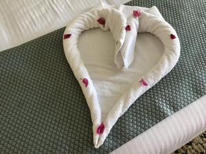 Kép Studio Gardenroom Guesthouse De Steenberg met wellness & tuinzicht szállásáról Geelben a galériában