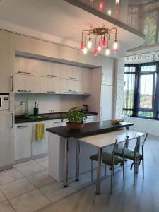 a large kitchen with a table and chairs in it at Apartment Viliamsa in Odesa