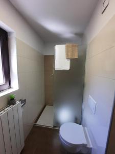 a bathroom with a toilet and a shower at Hiša Špuntar in Bovec