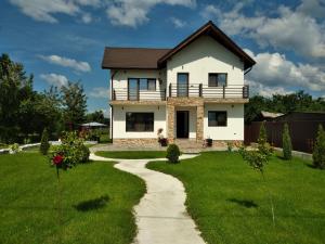 a house with a pathway in front of it at Pensiunea Casa Nușa in Baia de Fier