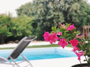 a chair and pink flowers next to a swimming pool at Meio Country House in Alcanede