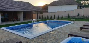 a large swimming pool in the backyard of a house at Aqualux in Vrdnik