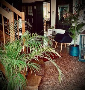 Foto dalla galleria di Hainberg Hotel Garni a Habrachćicy