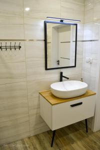 Vannituba majutusasutuses Apartament całoroczny Bieszczadzka Gawra