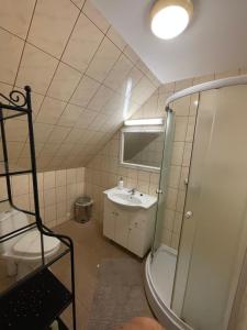 a bathroom with a sink and a shower and a toilet at Haapsalu Guesthouse in Haapsalu