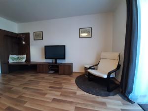 TV a/nebo společenská místnost v ubytování Apartmán Studnice