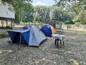 Kép EXIT Camping with bungalow, mobile home, tents, and empty spots with private acces to the beach szállásáról Újvidéken a galériában