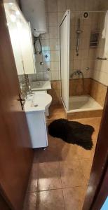 uma casa de banho com um lavatório, um chuveiro e um espelho. em Villa Niki Hvar em Hvar