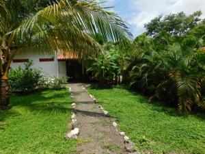 um caminho em frente a uma casa com palmeiras em Villas jungle 5 em Sámara