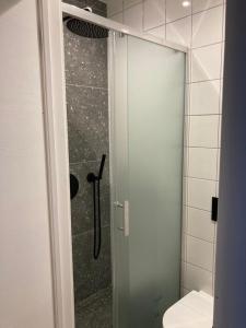 Ένα μπάνιο στο Cottage Kotedžas Svencelėje