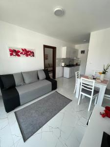 Una cocina o cocineta en Lake View Tašić 1