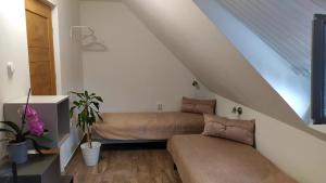 Posezení v ubytování Arcadia Guesthouse
