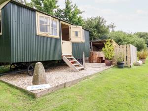 a green tiny house sitting on top of a yard at Bramble in Wadebridge