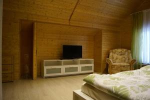 a bedroom with a bed and a television on a cabinet at Gemütliches Haus mit Sauna im Voralpenland in Peißenberg