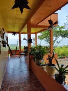 Balkón nebo terasa v ubytování Posada Los Chaneques Catemaco