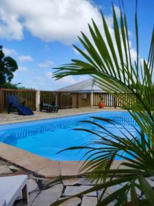 a swimming pool with a palm tree in the foreground at Domaine De Berard in Sainte-Anne