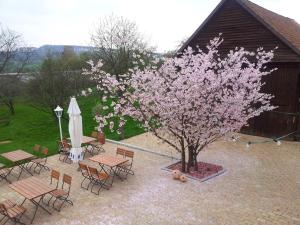 Zahrada ubytování Landgasthaus Hesse