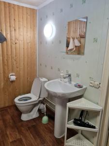 スーズダリにあるДом у Грушиのバスルーム(トイレ、洗面台付)