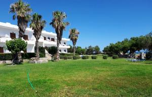 A garden outside Studios Stavris