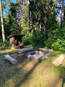 Giardino di Meelste puhkemajad Tahkunas- Sõnn ja Lõvi