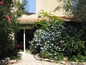 a large bush of flowers in front of a building at Chambres d'hôtes Lou Félibre in Vic-la-Gardiole