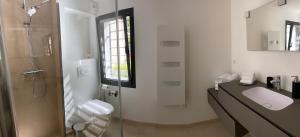 a bathroom with a shower and a toilet and a sink at Villa Chaptalia in Bandol