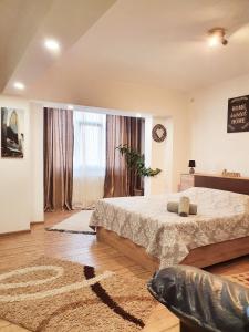 布勒伊拉的住宿－Casa Nicolae，一间卧室设有一张床和一个大窗户