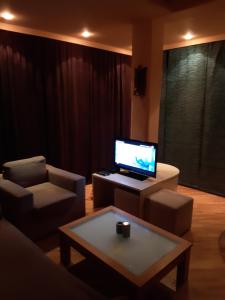 a living room with a couch and a laptop on a table at IVAN Apartment in Peštani