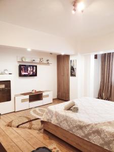 布勒伊拉的住宿－Casa Nicolae，卧室配有一张床,墙上配有电视。