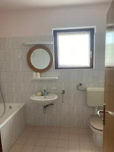 ein Badezimmer mit Waschbecken, Toilette und Spiegel in der Unterkunft Apartment Ivan in Vantačići