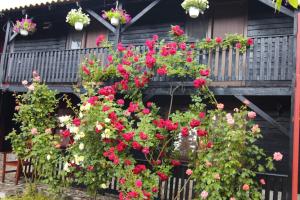 a bunch of flowers on the side of a house at C Dor de Vama Bedrooms in Vama Veche +39 photos