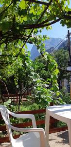 a white table and chairs sitting under a tree at Apartments &Scaron;kaljari in Kotor
