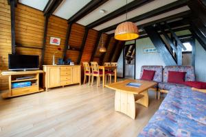 TV a/nebo společenská místnost v ubytování Ferienwohnpark Immenstaad am Bodensee Nurdachhaus Typ 7 ND 46