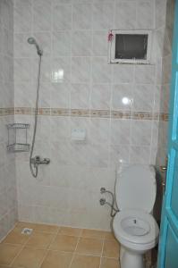 a bathroom with a toilet and a shower at Hotel Nisa in Kaş