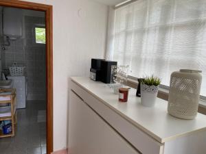 Kuchyň nebo kuchyňský kout v ubytování Holiday Home Cesarica