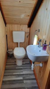a small bathroom with a toilet and a sink at Guesthouse ANKL in Lesce +14 photos