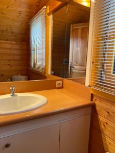 een badkamer met een wastafel en een spiegel bij Chalet Sapin in Gérardmer