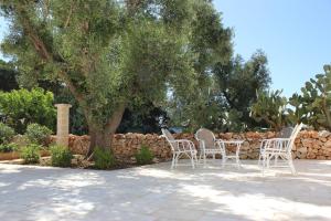 A garden outside Masseria Zambardo