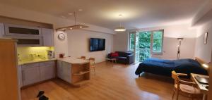 a living room with a bed and a kitchen at Apartmán 46m2 s balkonem v lázeňském centru in Karlovy Vary