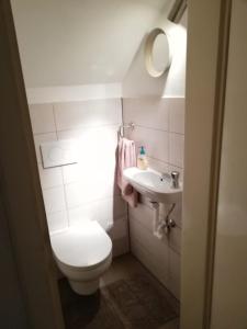 a bathroom with a toilet and a sink at Apartment Reininghaus - Low budget in Graz