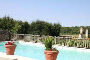 a swimming pool with two large flower pots next to a fence at Chateau De Castelneau in Saint-Léon