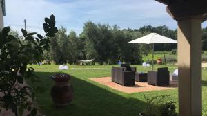 Zahrada ubytování Agriturismo La Casina nel Vigneto