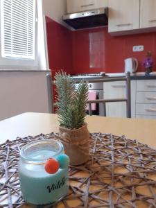 Kuchyň nebo kuchyňský kout v ubytování Apartmani Sanda i Leo